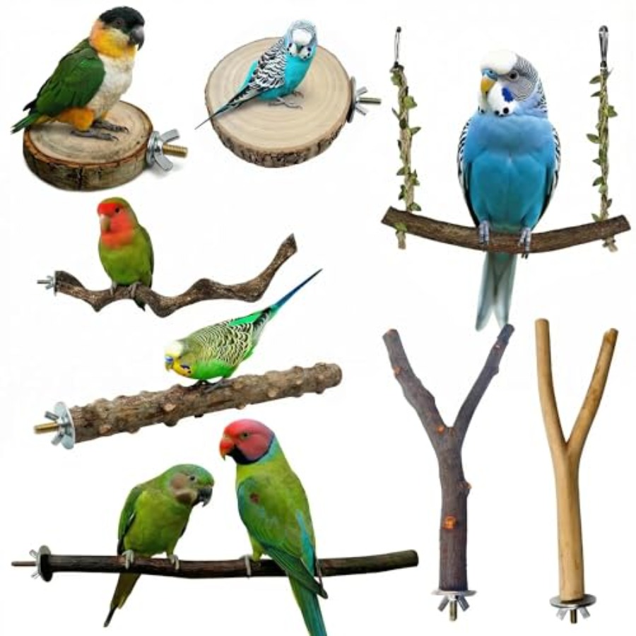 8PCS natural wood bird perches - Health & Wellness Therapy Center ulasan dan harga