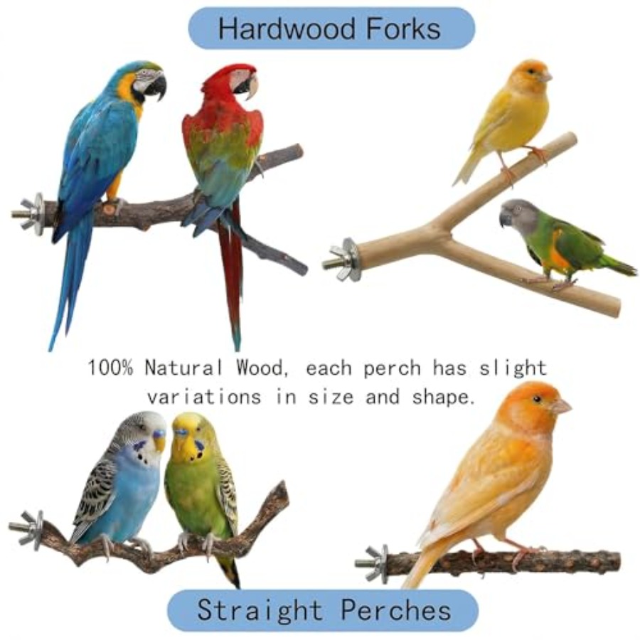 8PCS natural wood bird perches - Health & Wellness Therapy Center ulasan dan harga